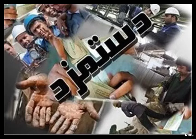 زندگی کارگران کیش چوب با ۵ ماه حقوق معوق دشوار شده است